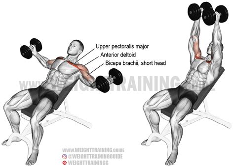 How to Properly Do a DUMBBELL FLY 